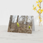 春の木の芽考えるがホープの カード (黄色い花)