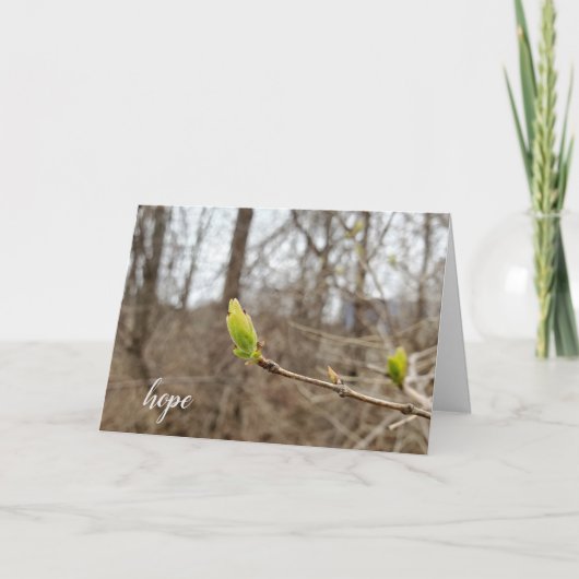春の木の芽考えるがホープの カード (正面)