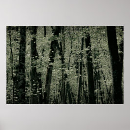 春の木 ポスター