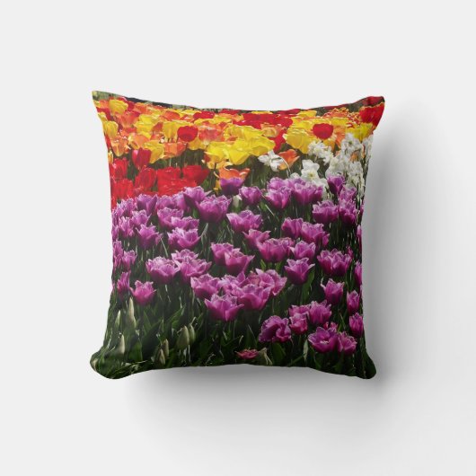 春の枕を祝って下さい クッション (正面)