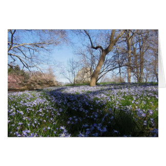 春の栄光--カード