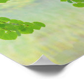 春の桂の木の手足|過去記事 | WA,シーベック ポスター (角)