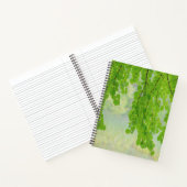 春の桂（かつら）の大樹 |シーベック，ワシントン州 ノートブック (内部)