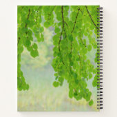 春の桂（かつら）の大樹 |シーベック，ワシントン州 ノートブック (裏面)