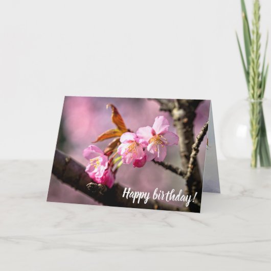 春の桜の木にピンク色の花を咲かせる カード (正面)