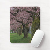 春の桜の木 マウスパッド (マウス)