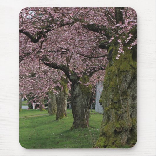 春の桜の木 マウスパッド (正面)