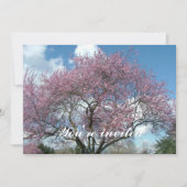 春の桜の木 招待状 (正面)