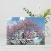 春の桜の木 招待状 (スタンド正面)