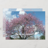 春の桜の木 招待状 (正面/裏面)