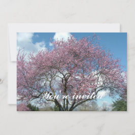 春の桜の木 招待状