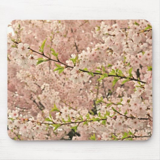 春の桜 マウスパッド (正面)