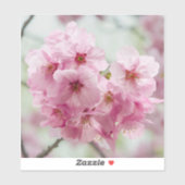 春の桜 - 東京の花 シール (シート)