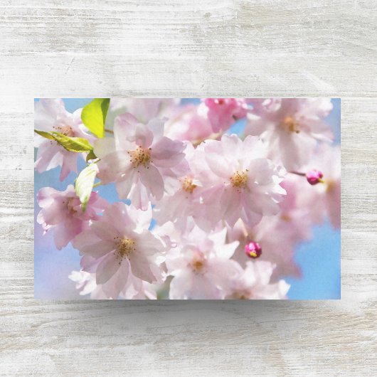 春の桜 薄葉紙
