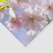 春の桜 薄葉紙 (詳細)