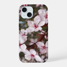 春の桜