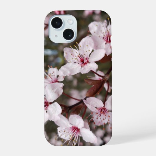 春の桜 iPhone 15ケース (裏面)