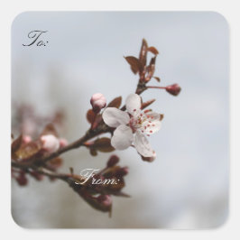 春の梅、クリスマスプレゼントのラップラベル。 スクエアシール