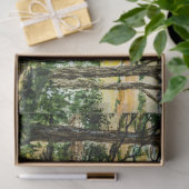 春の森の風景 薄葉紙 (ギフト)