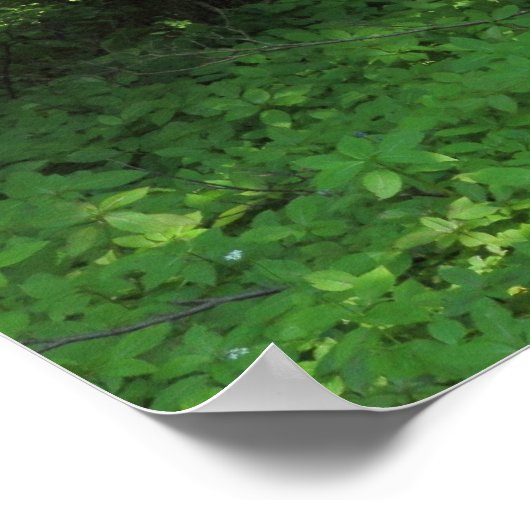 春の森01 ポスター (角)