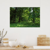 春の森01 ポスター (キッチン)