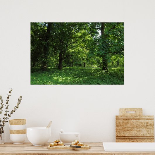 春の森01 ポスター (キッチン)