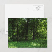 春の森02 ポストカード (正面/裏面)