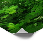 春の森 ポスター (角)