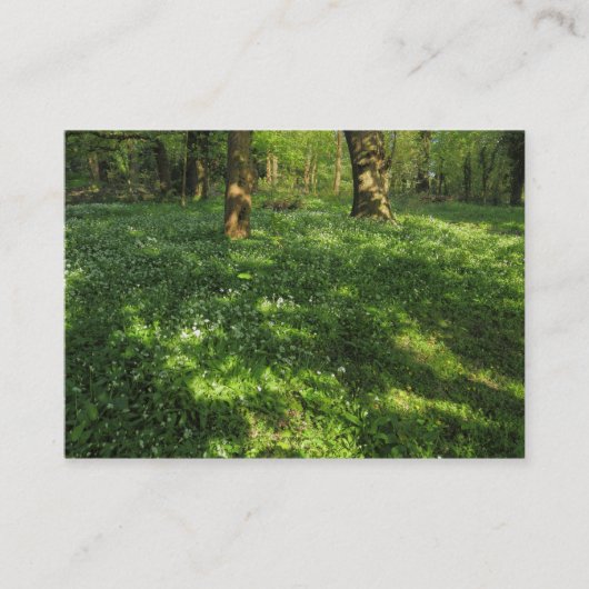 春の森 名刺 (正面)