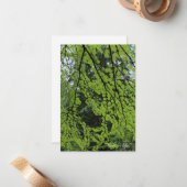 春の樹株 ノートカード (正面/裏面インサイチュ)