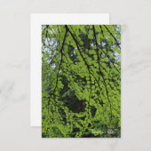 春の樹株 ノートカード (正面/裏面)