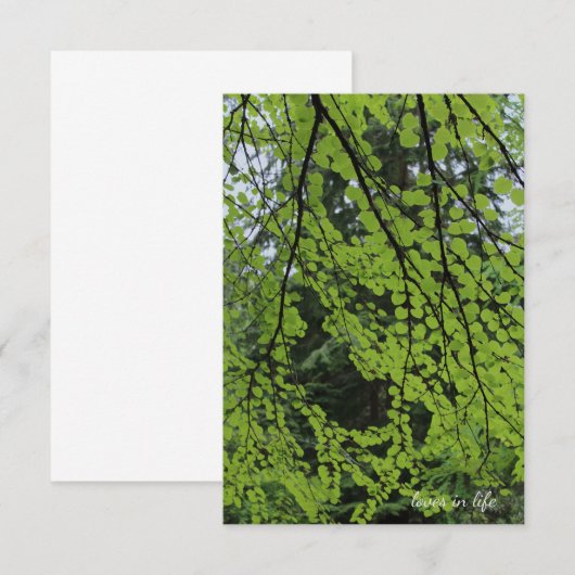 春の樹株 ノートカード (正面/裏面)