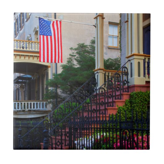 春の歴史的な地区の家 タイル (正面)