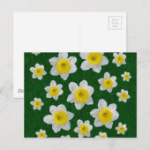 春の水仙 ポストカード (正面/裏面)