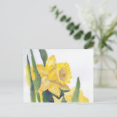 春の水仙 ポストカード (スタンド正面)