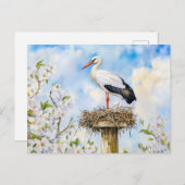 春の水彩画の巣に白いコウノトリ ポストカード (正面/裏面)