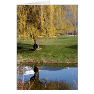 春の池の心地よいカード