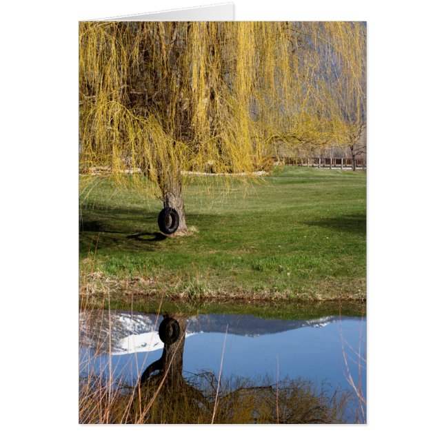 春の池の心地よいカード (正面)