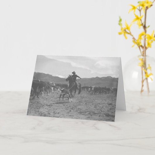 春の決め付けることのための子牛をロープをかけているカウボーイ カード (黄色い花)