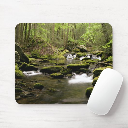 春の流れ マウスパッド (マウス)