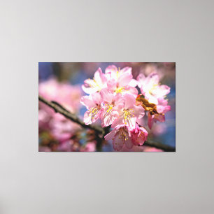 春の淡い桜の花の祭典 キャンバスプリント