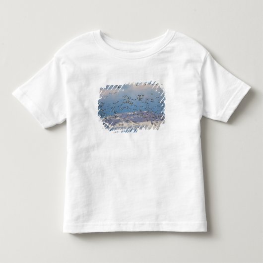 春の渡りの間の雪ガン トドラーTシャツ (正面)