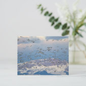 春の渡りの間の雪ガン ポストカード (スタンド正面)