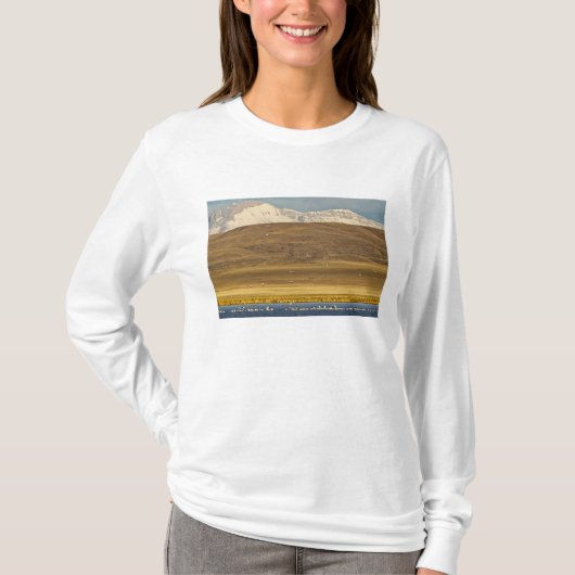 春の渡りの間の雪ガン Tシャツ (正面)