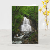 春の滝 カード (黄色い花)