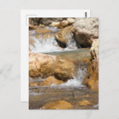 春の激しい小川 ポストカード (正面/裏面)