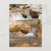 春の激しい小川 ポストカード (正面)