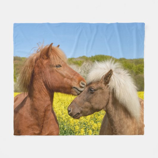 春の牧場で愛らしいアイスランドの馬が寄り添う - フリースブランケット (正面(横))