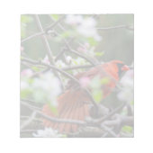 春の男性（鳥）ショウジョウコウカンチョウ ノートパッド (正面)