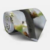 春の白い花の写真のネクタイ ネクタイ (ロール)